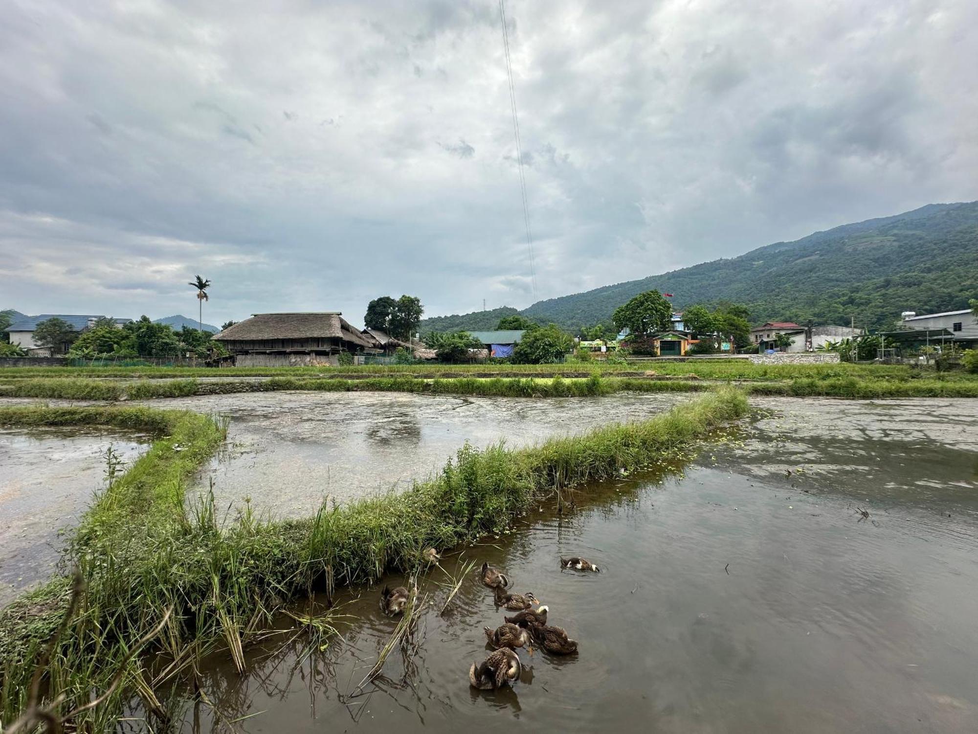 Ha Giang Eco Bungalow Exterior photo